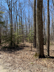 Lot 1 Birch Ln, Town of Egg Harbor, WI 54209
