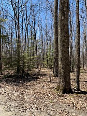 lot 2 Birch Ln, Town of Egg Harbor, WI 54209