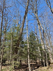 lot 2 Birch Ln, Town of Egg Harbor, WI 54209